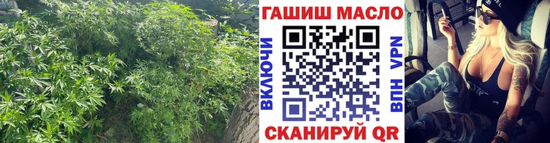 гидра зеркало  продажа наркотиков  Новоаннинский  ТГК вейп с тгк 
