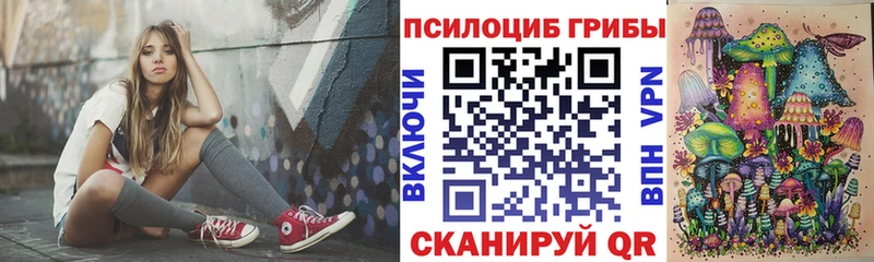 магазин    Новоаннинский  Галлюциногенные грибы Psilocybine cubensis 