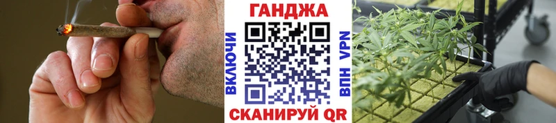 где можно купить наркотик  Новоаннинский  Конопля план 